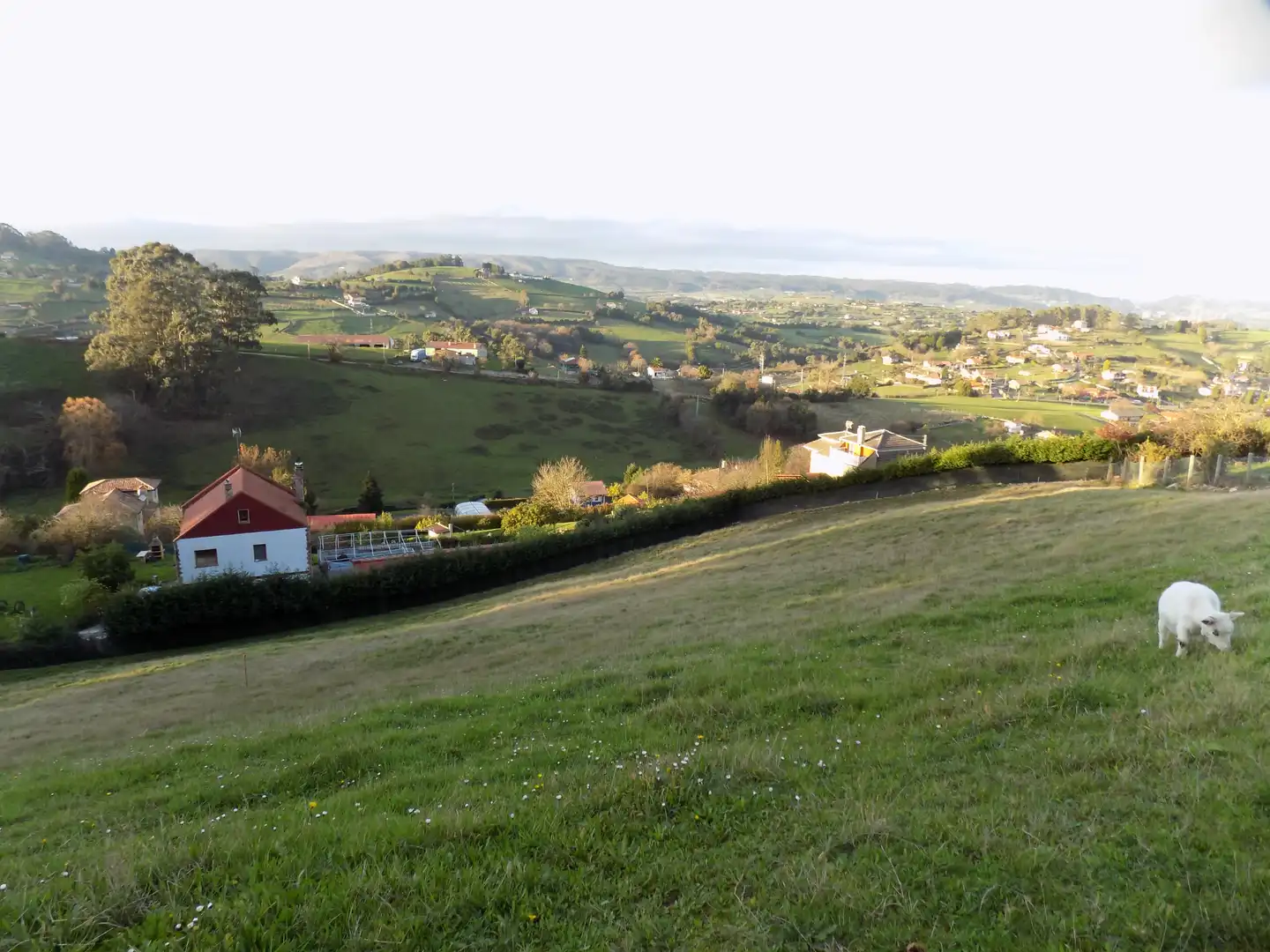 Rural land for sale in Rural, imagen 2
