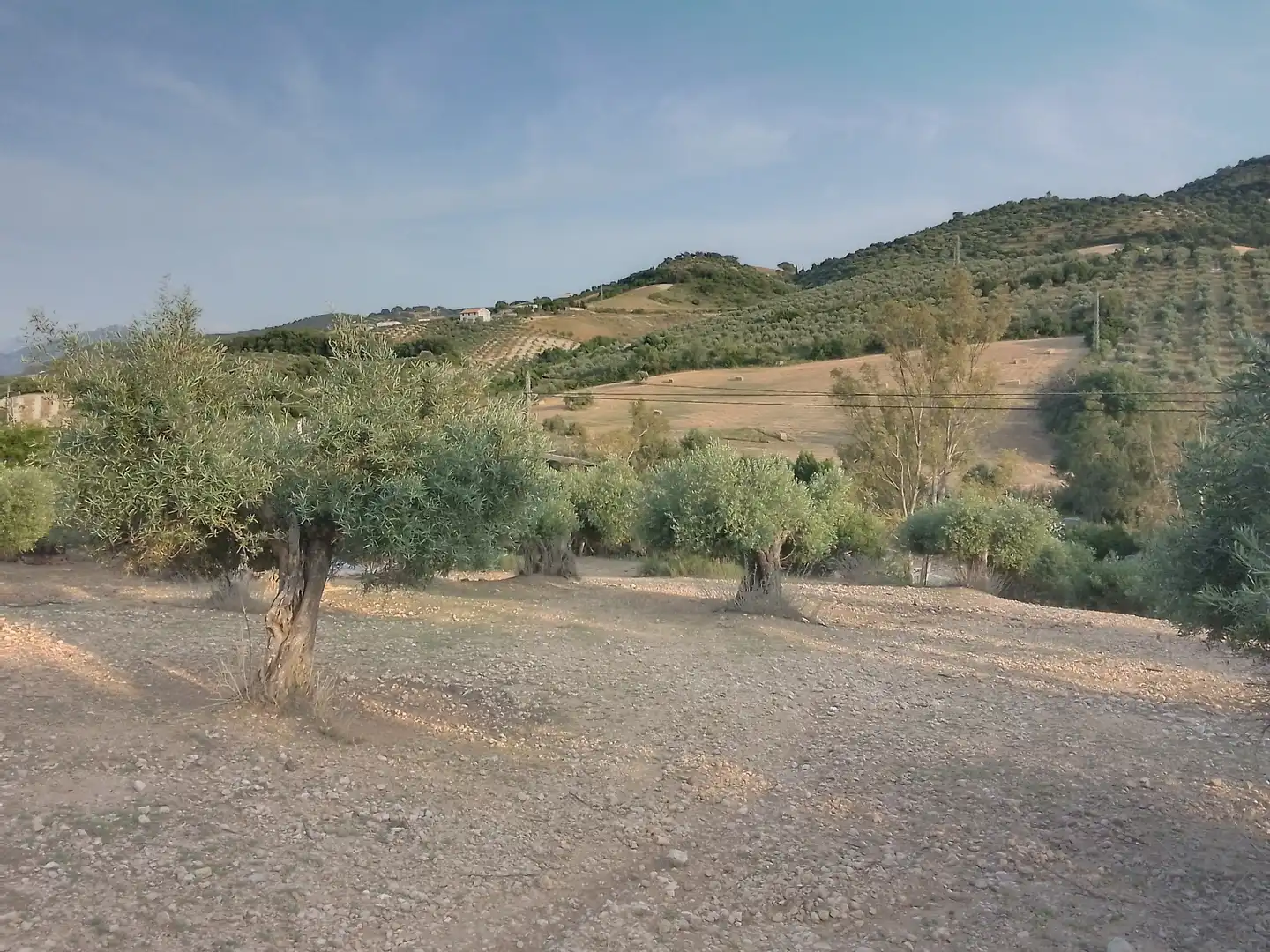 Terreno rústico en venta en Villamartín, imagen 20