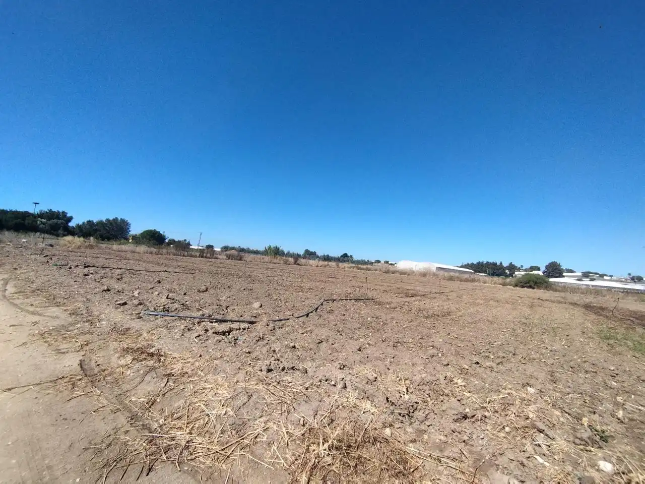 Terreni e lotti in vendita a Los Llanos, imagen 2