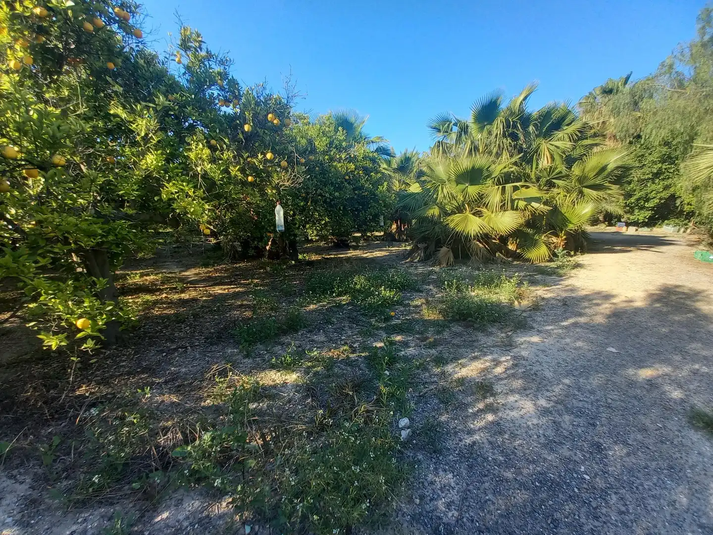 Casa o chalet en venta en Elche / Elx
