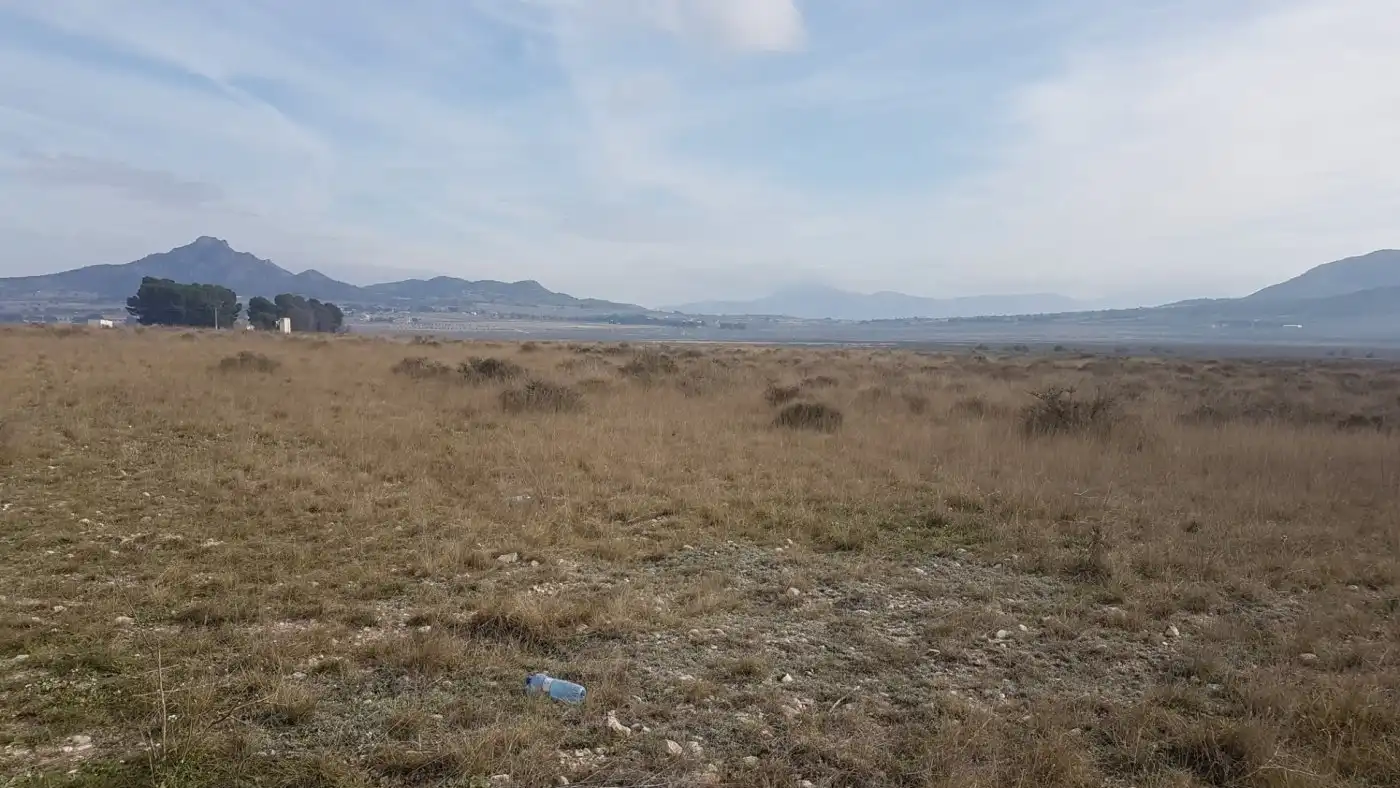Finca rústica en venda en Salinas