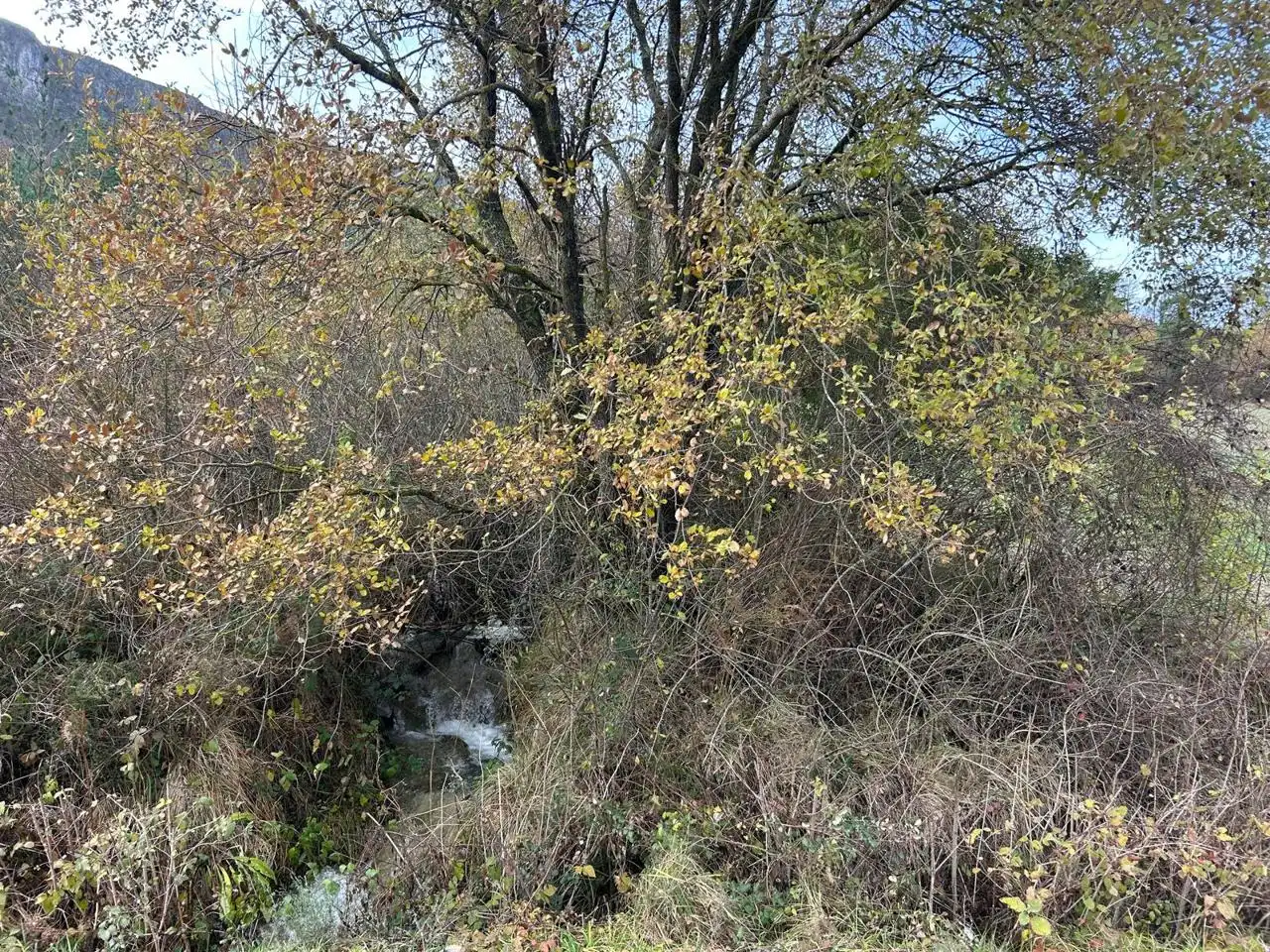 Land for sale in Kuartango