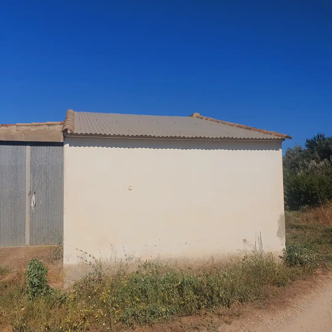 House for sale in Benissanet, imagen 2