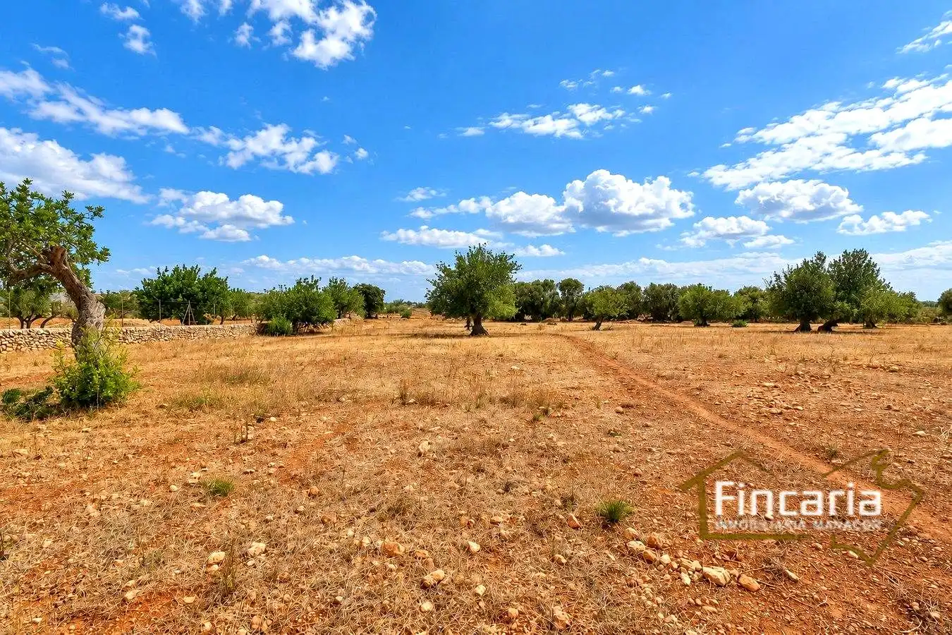 Country homes for sale in Marratxinet
