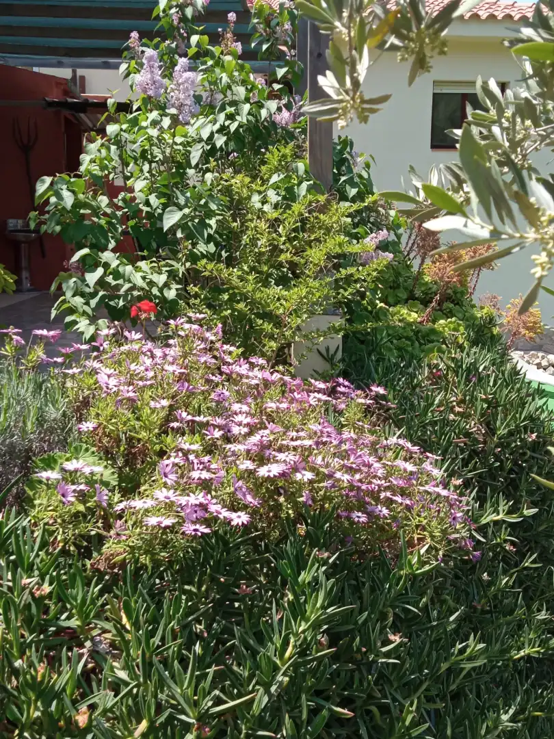 Jardí de Finca rústica en venda en Tortosa amb Aire condicionat, Calefacció i Jardí privat