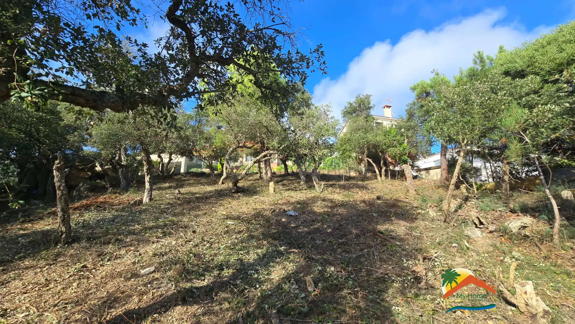 Terreno residencial en venta en Carrer Llevant 18, imagen 11