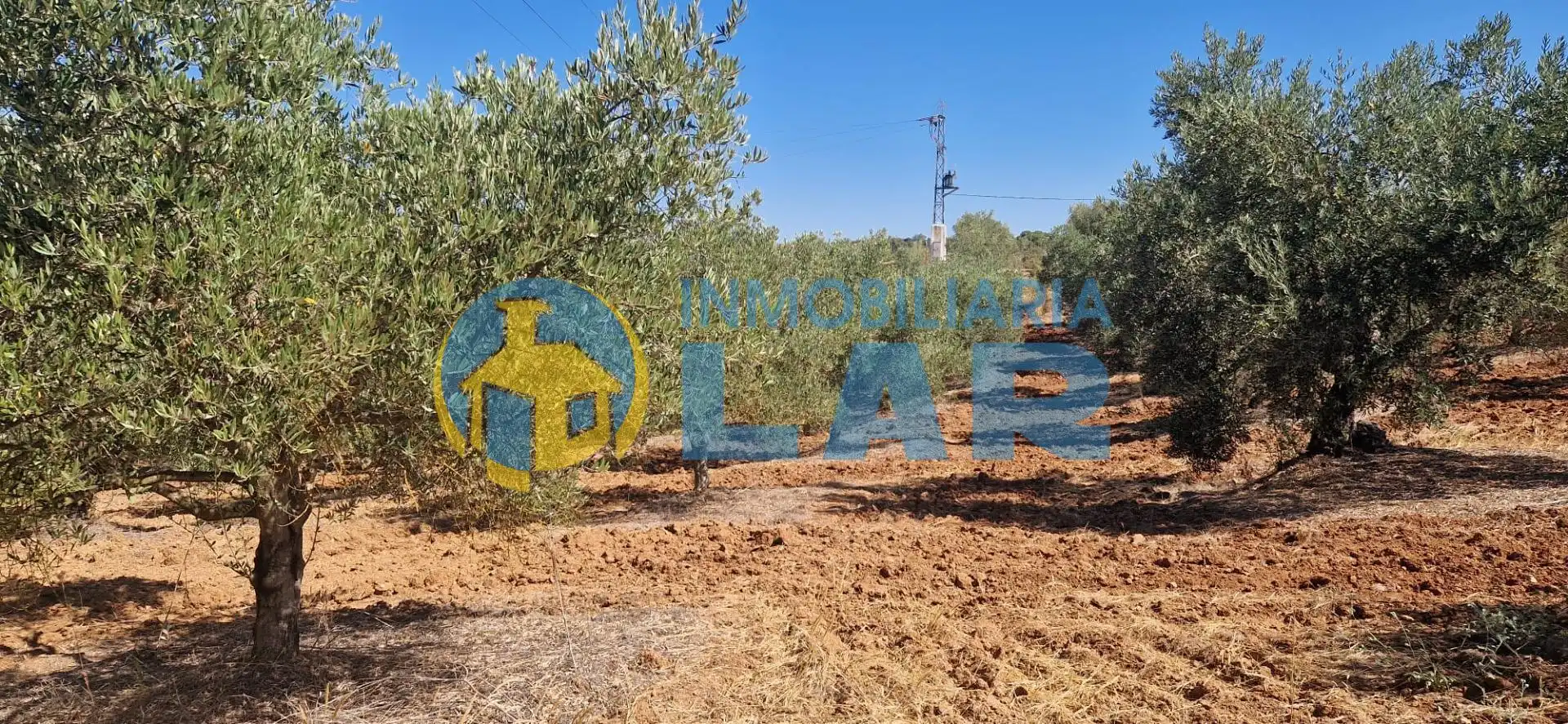 Finca rústica en venda en Niebla
