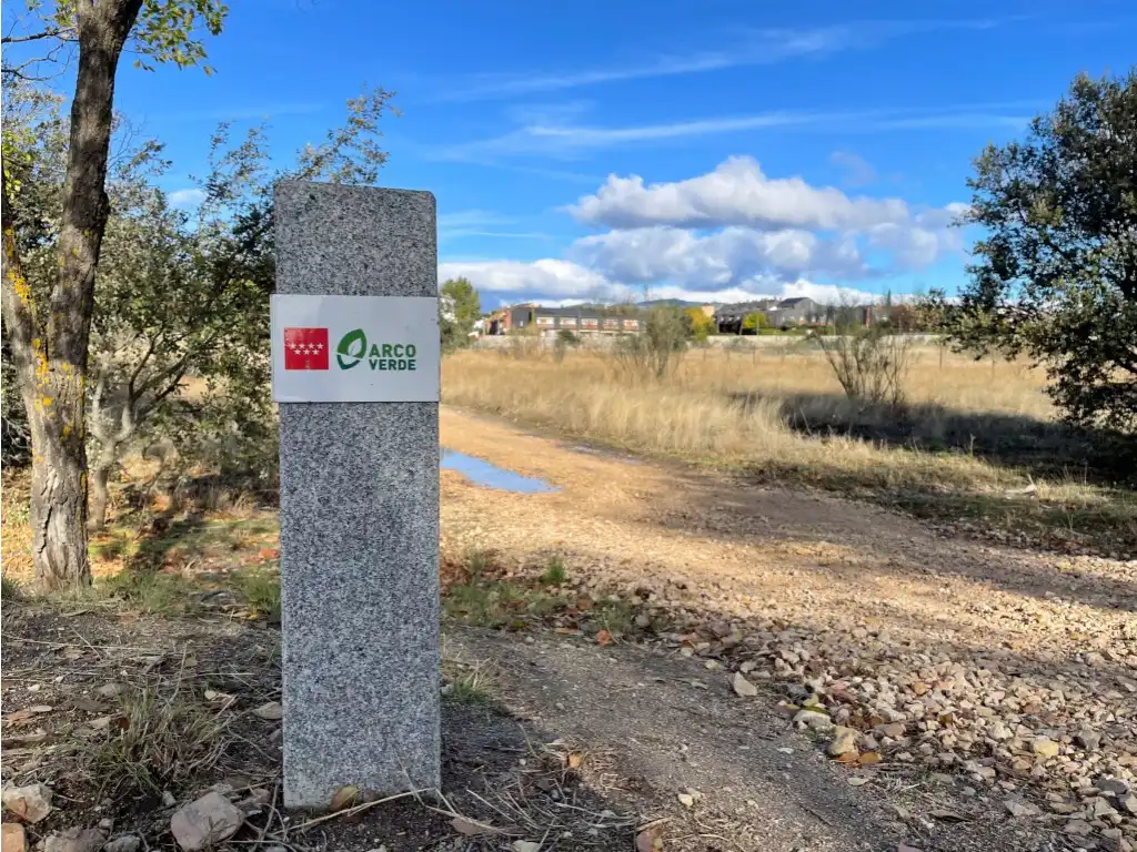 Exterior view of Detached homes for sale in Las Rozas de Madrid  with Private garden, Terrace and Storage room
