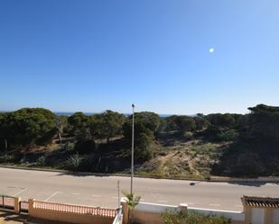 Vista exterior de Casa o xalet de lloguer en Guardamar del Segura amb Aire condicionat, Jardí privat i Terrassa