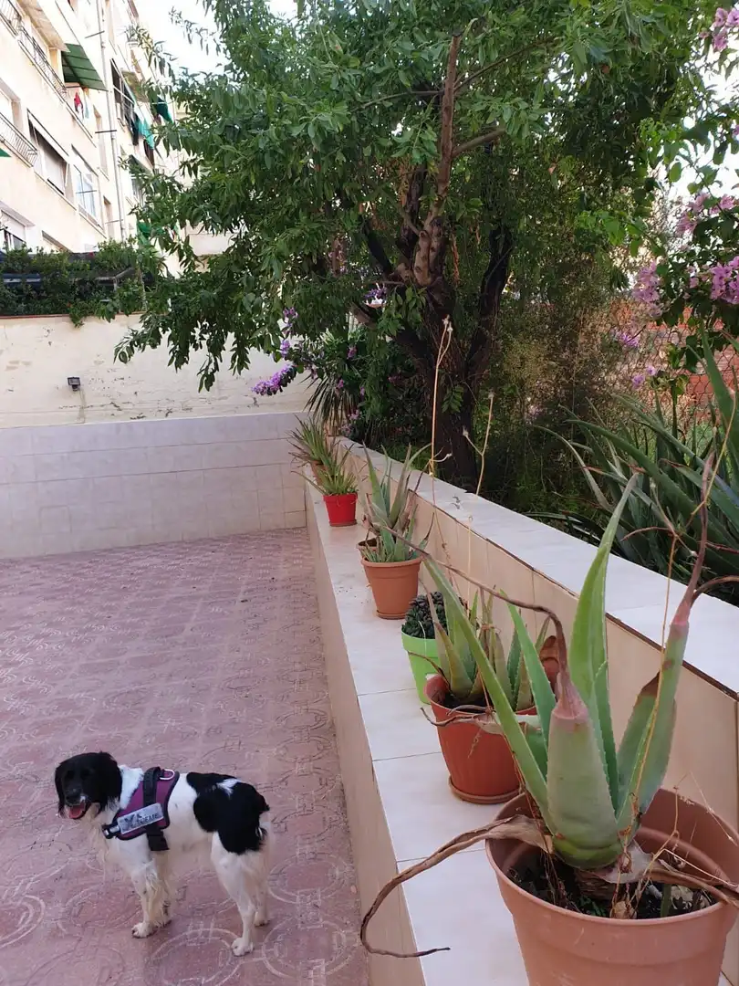 Terrace of Flat for rent in Terrassa  with Heating
