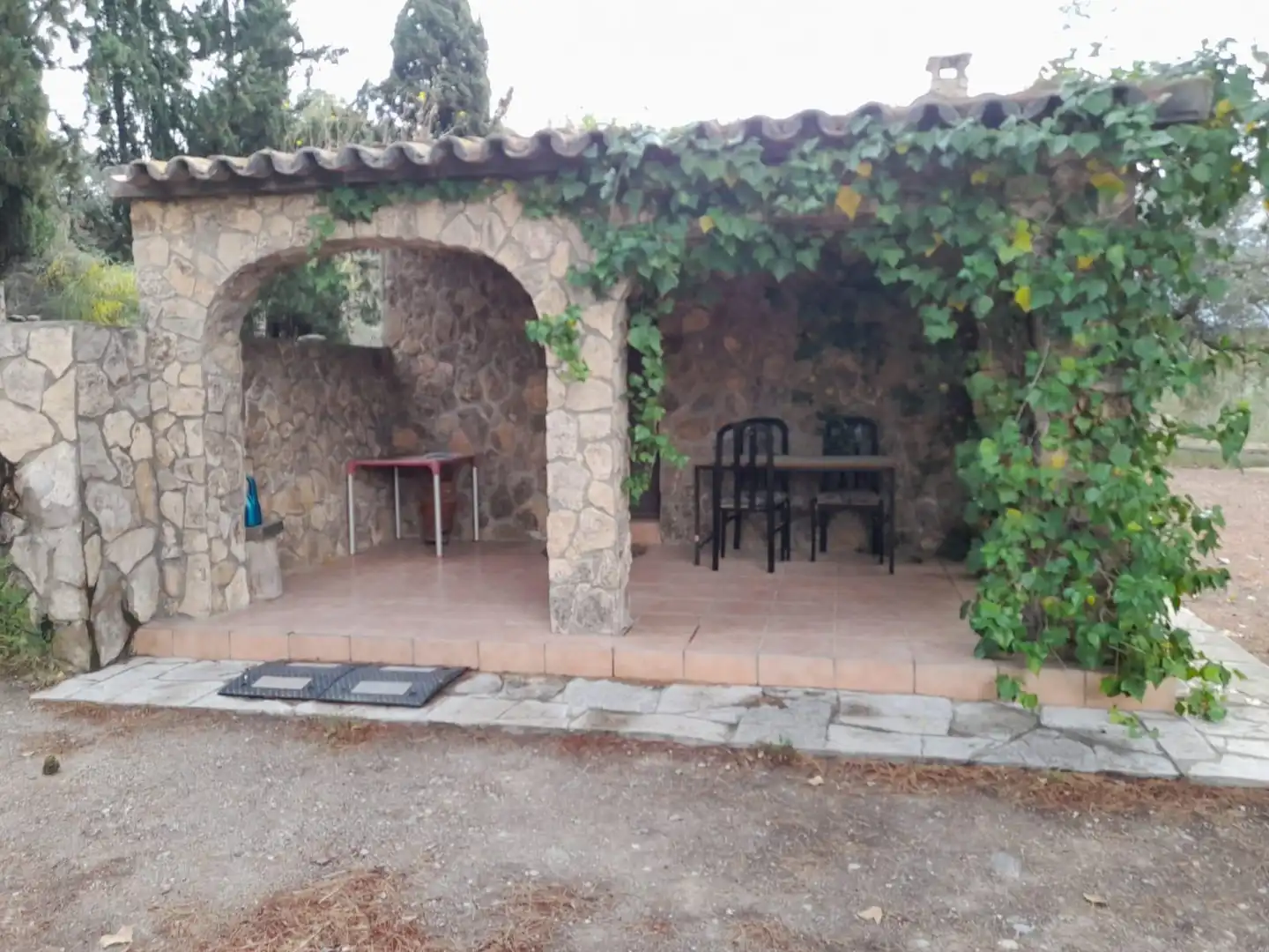 Terreno rústico en venta en Ascó, imagen 6