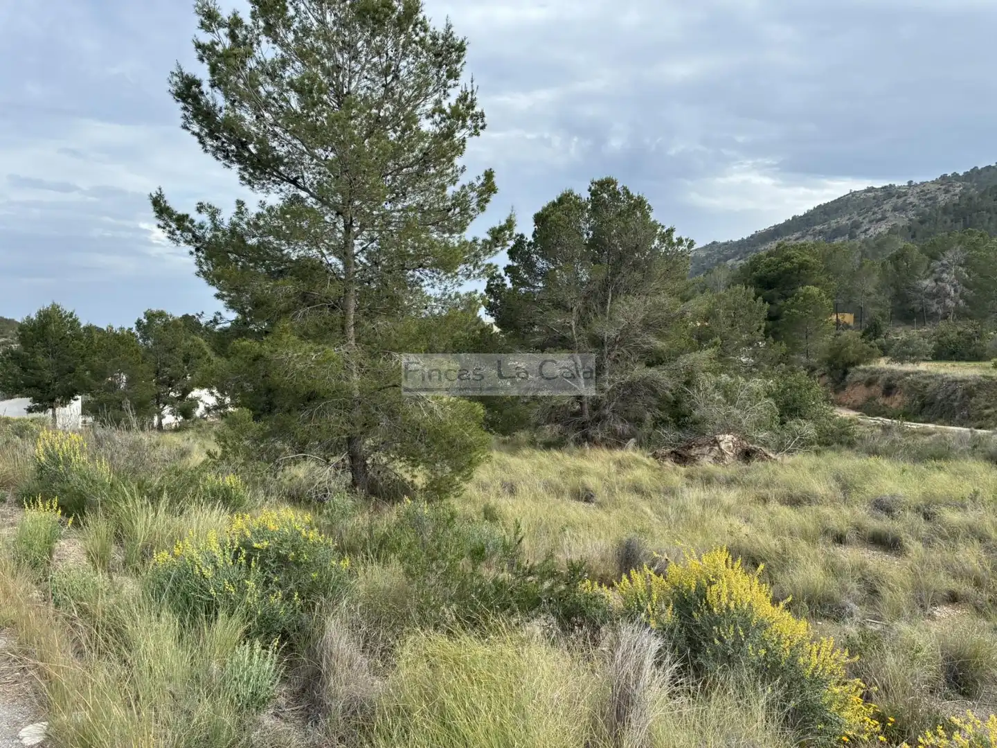 Casa rústica en venda a Finestrat Pueblo, imagen 15