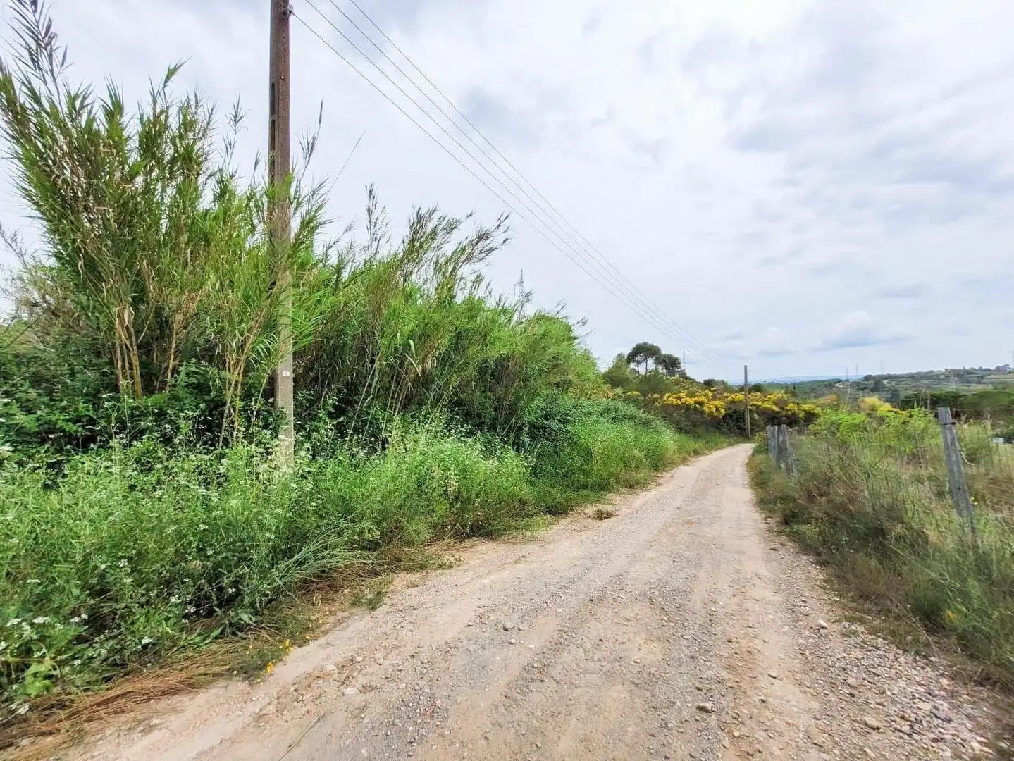 Terreno rústico en venta en Castellbisbal, imagen 10