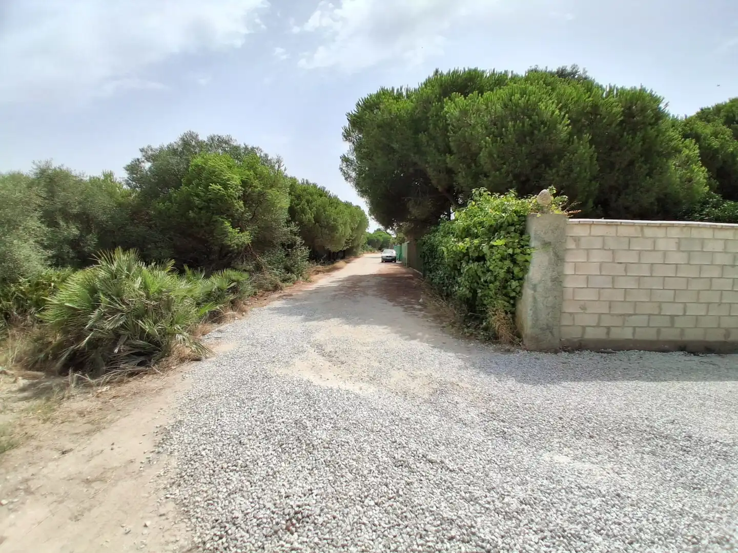 Residential land for sale in Pinar de la villa, imagen 13