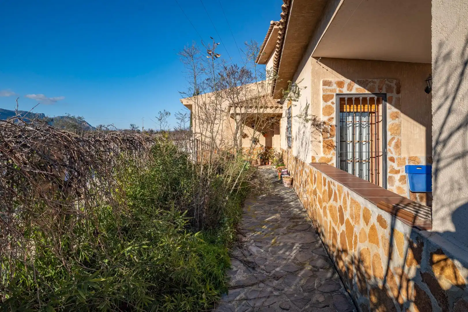 Vista exterior de Casa o chalet en venta en Baza