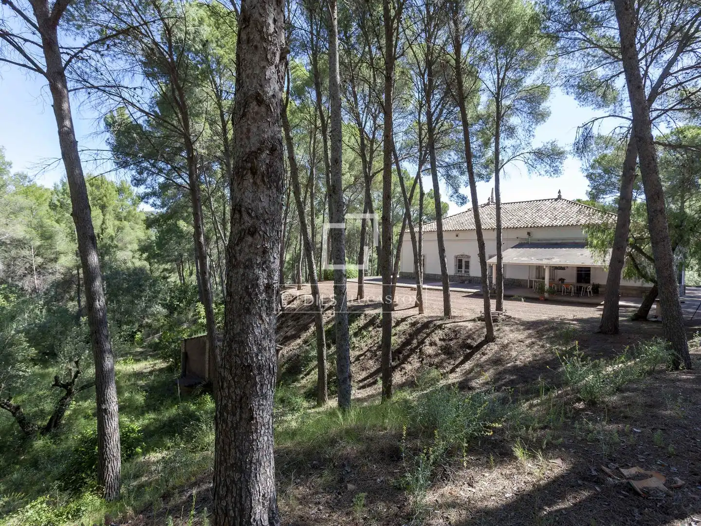 Chalet con jardín en venta en Casco Urbano, imagen 28