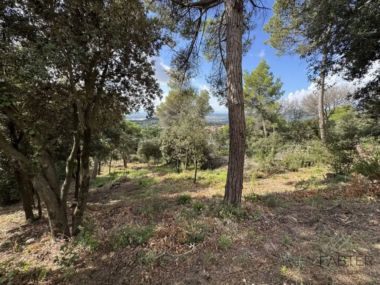 Rustikales Grundstück zum Verkauf in Avenida Castell de Montbui, imagen 2
