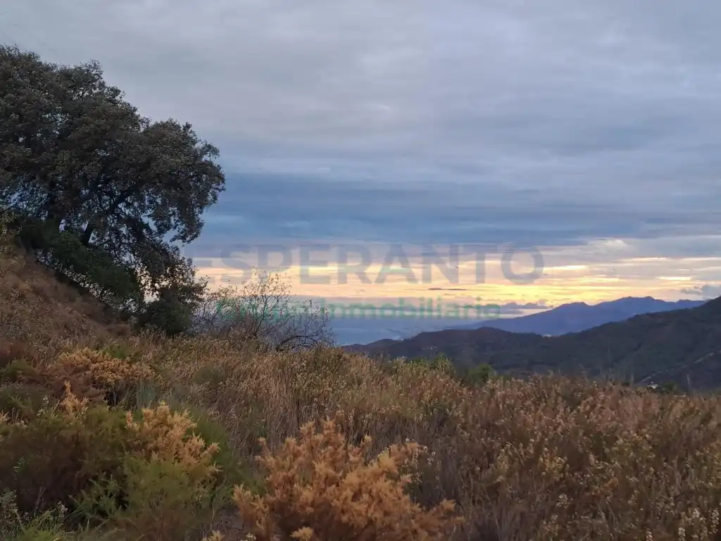 Terrenys i solars en venda a Camino Lagar Brun Bajo, imagen 12