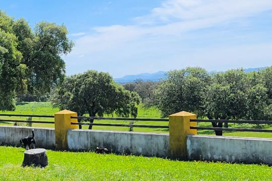 Terreno en venta en Casco Antiguo