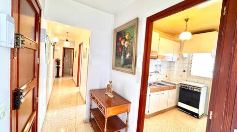Photo 4 of Flat for sale in Es Camp Redó,  Palma de Mallorca