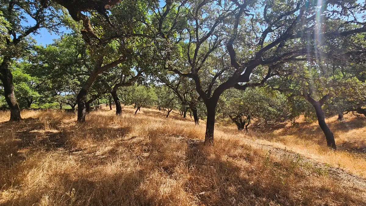 Terreno en venta en Puerto Moral