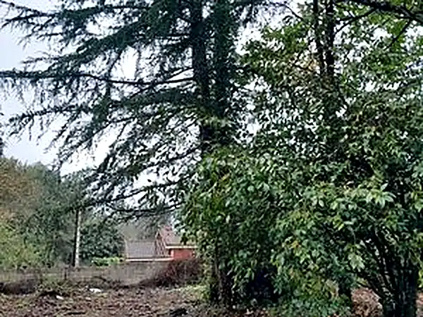 Terreno residencial en venta en Ponteareas, imagen 8