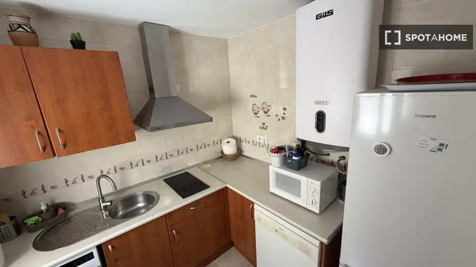Cuina de Apartament per a compartir en Málaga amb Aire condicionat, Terrassa i Moblat