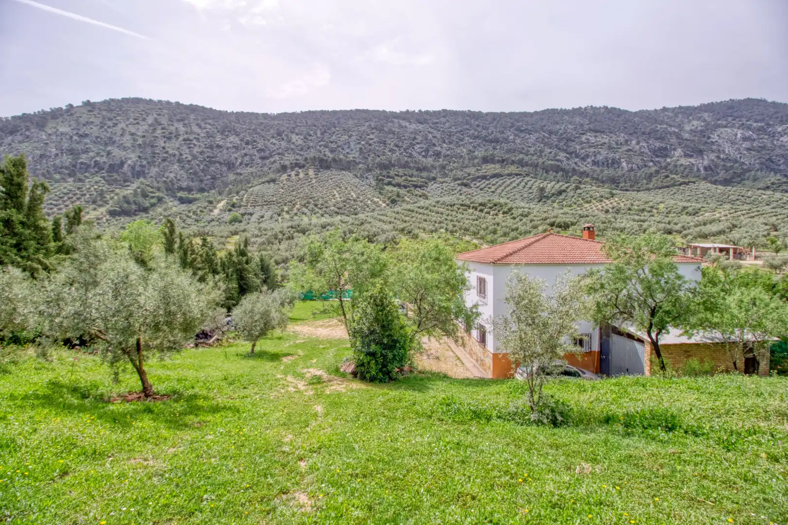 Maison à vendre à Rute, imagen 8