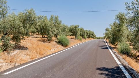 Photo 2 of Land for sale in Archidona, Málaga