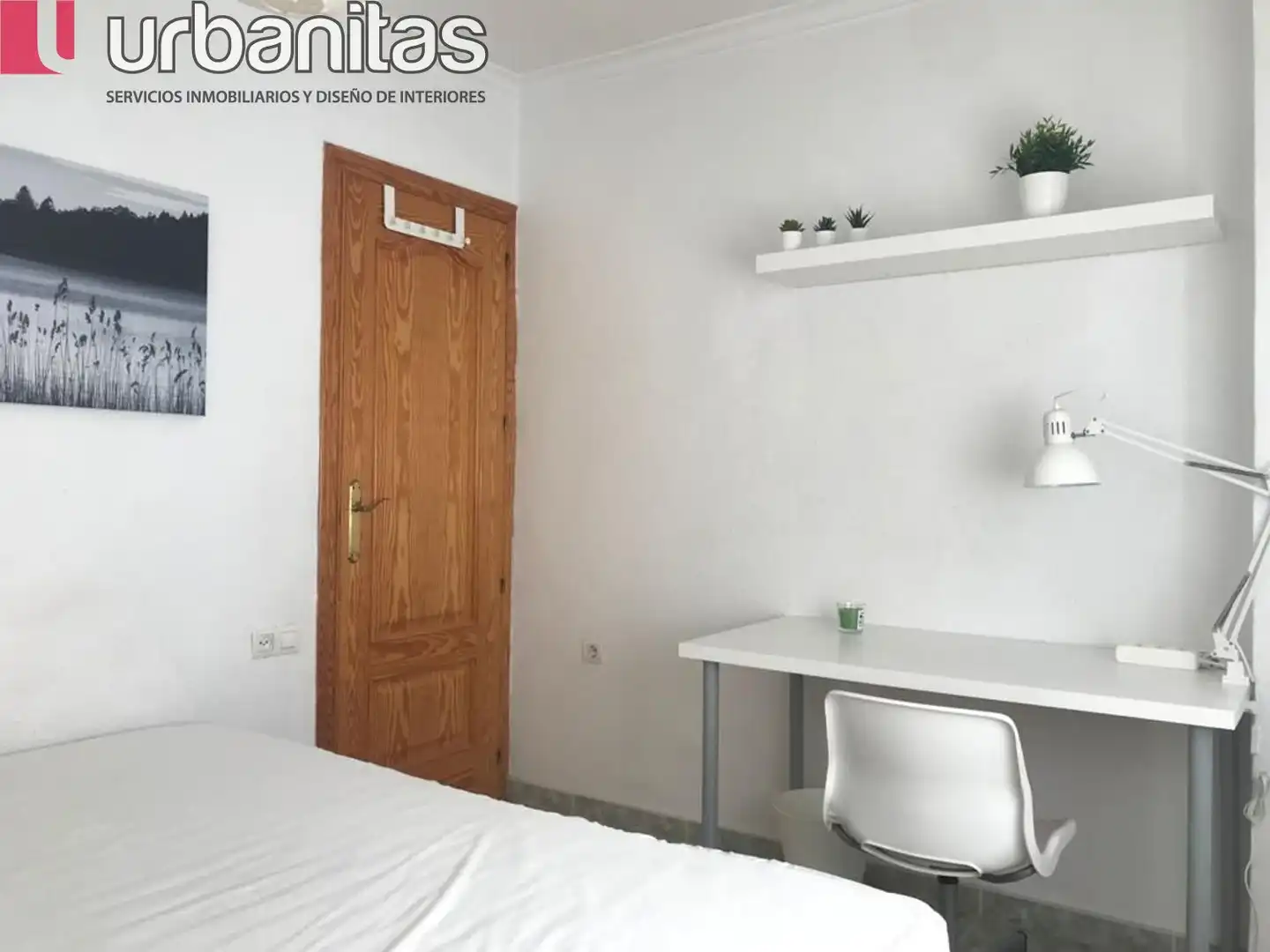 Flat to rent in Calle Agustín Lara 1, imagen 21