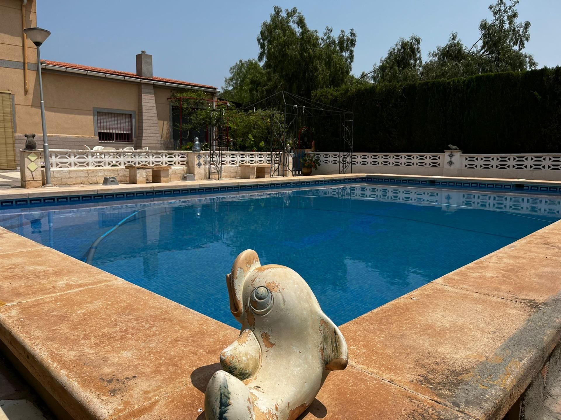 Piscina de Casa o xalet en venda en Novelda amb Jardí privat i Piscina