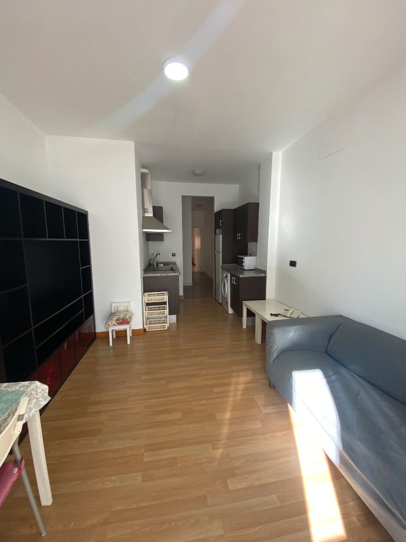 Sala de estar de Apartamento de alquiler en Málaga Capital con Amueblado, Lavadora y Microondas