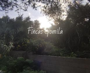 Garden of Residential for sale in Alaior