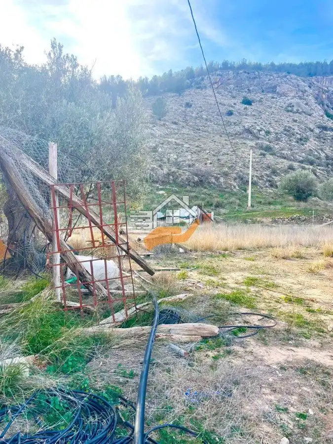 Terrenos y solares en venta en Vélez-Rubio, imagen 10