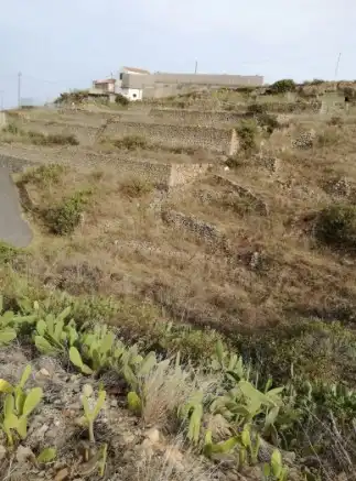 Rural land for sale in Centro, imagen 16