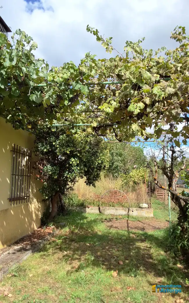Maison avec jardin à vendre à N/A, imagen 2
