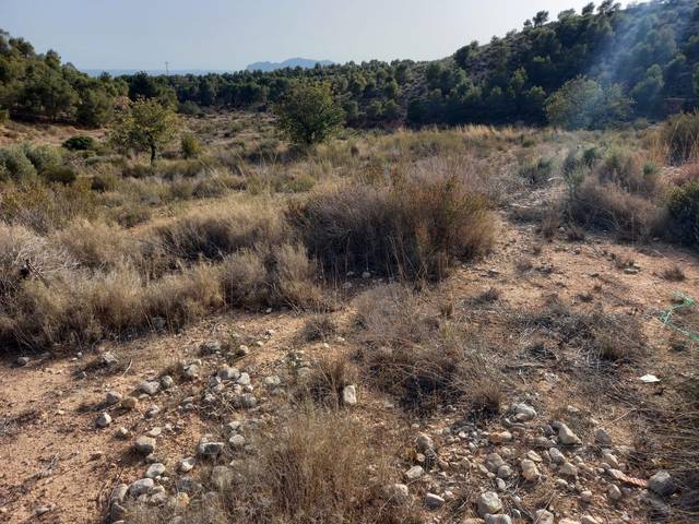 Terreno residencial en Venta en Crevillent