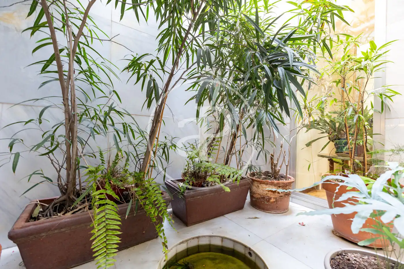 Jardí de Pis en venda en Barcelona amb Aire condicionat, Calefacció i Terrassa