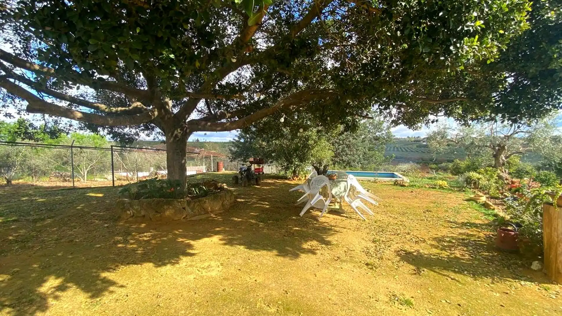 Jardín de Finca rústica en venta en El Viso del Alcor