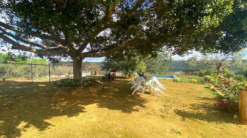 Photo 3 of Country homes for sale in De las Huertas, El Viso del Alcor, Sevilla