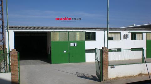 Foto 2 von Fabrikhallen zum Verkauf in Pozoblanco, Córdoba