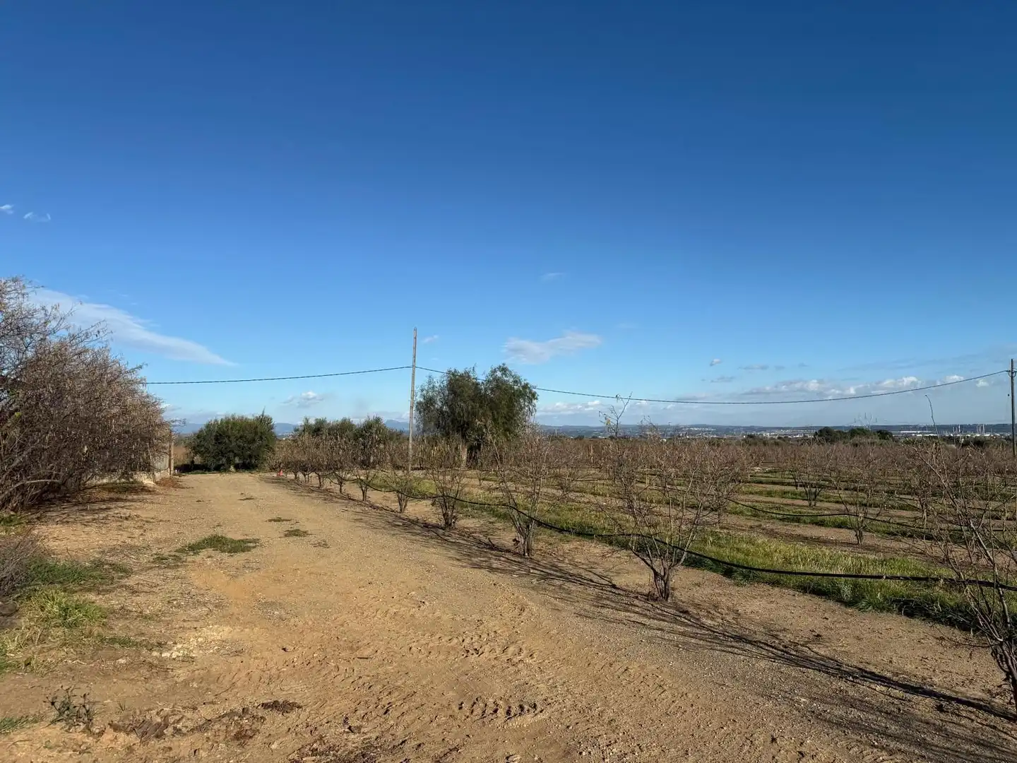 Casa rústica en venta en La Selva del Camp, imagen 37