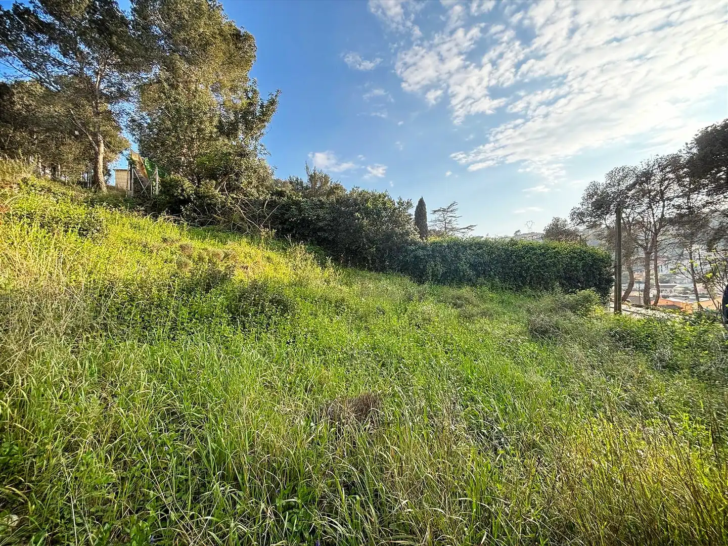 Terreno residencial en venta en Canyelles, imagen 11