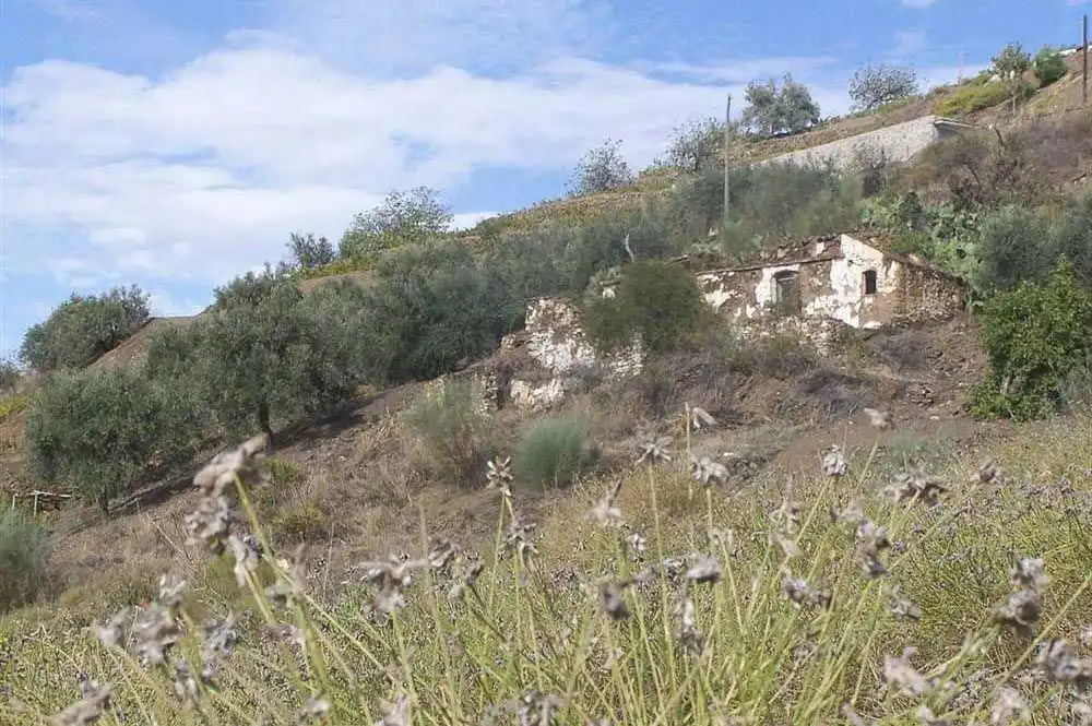 Terreny rústic en venda a Sayalonga, imagen 9