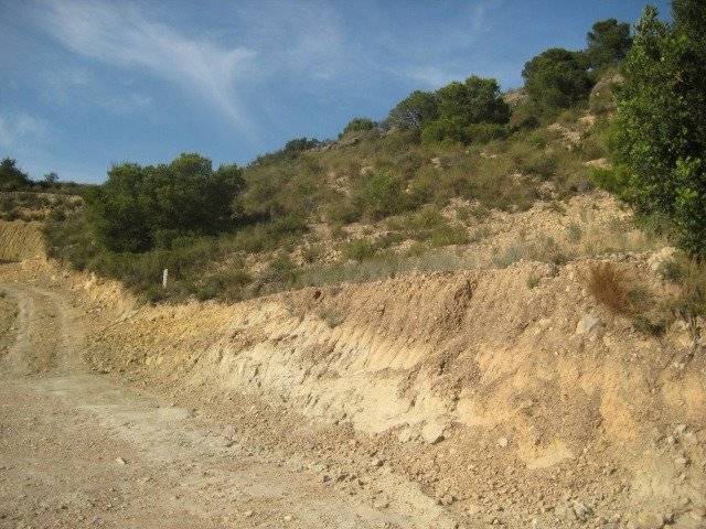 Terreno residencial en Venta en Pedralba