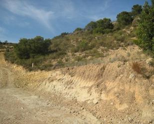 Industrial land for sale in Pedralba