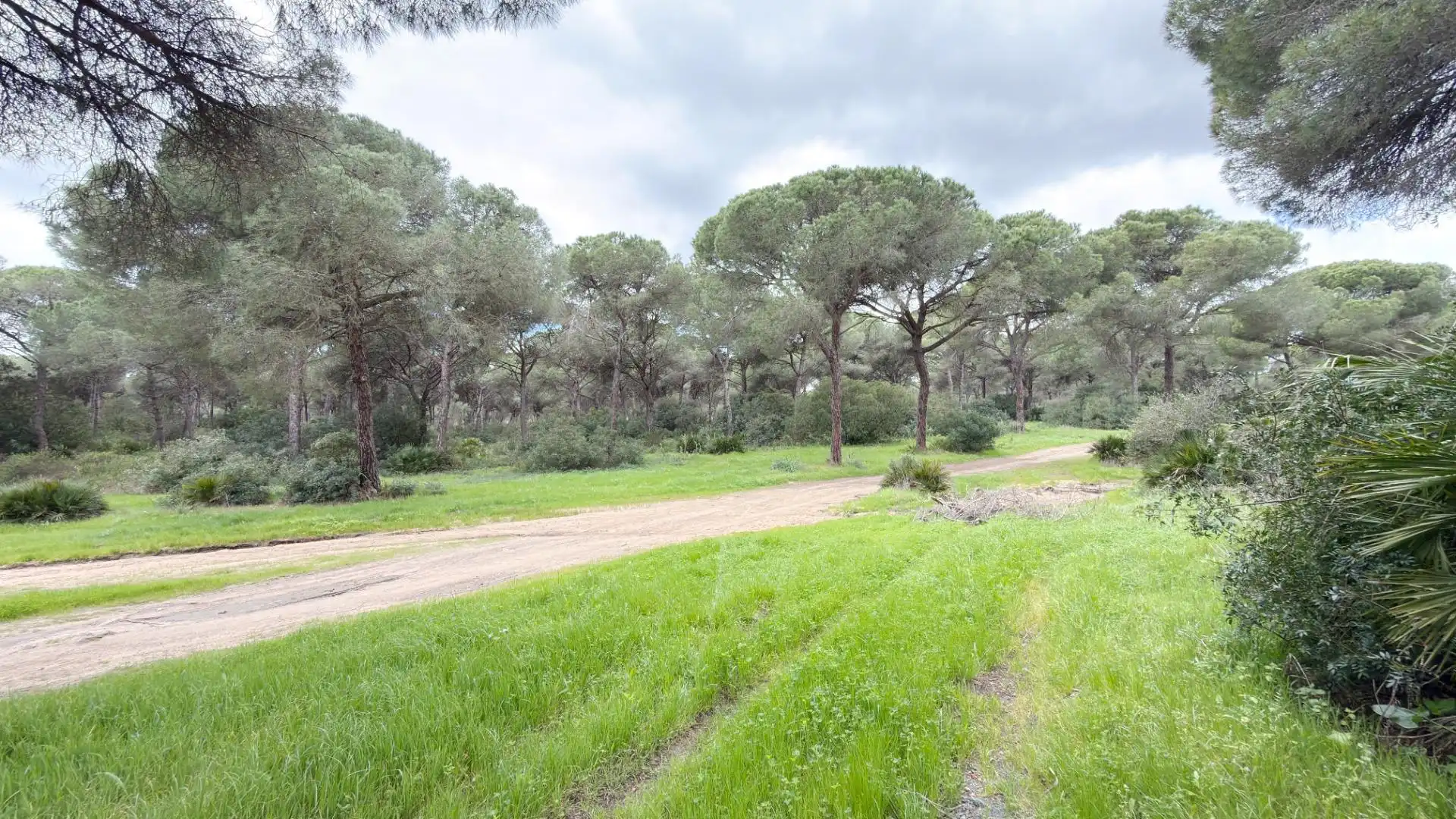 Finca rústica en venta en Punta Umbría