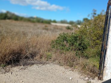 Terreno industrial en venta en Carrer Planes Altes D