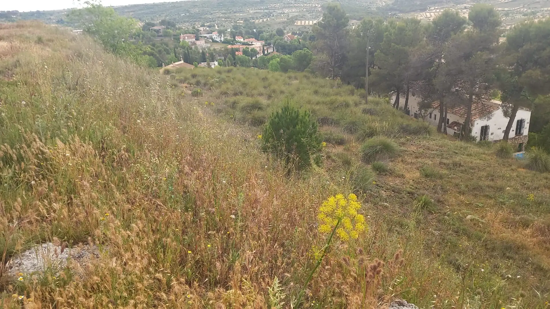 Terreno residenziale in vendita a Avenida de la Virreina, imagen 5