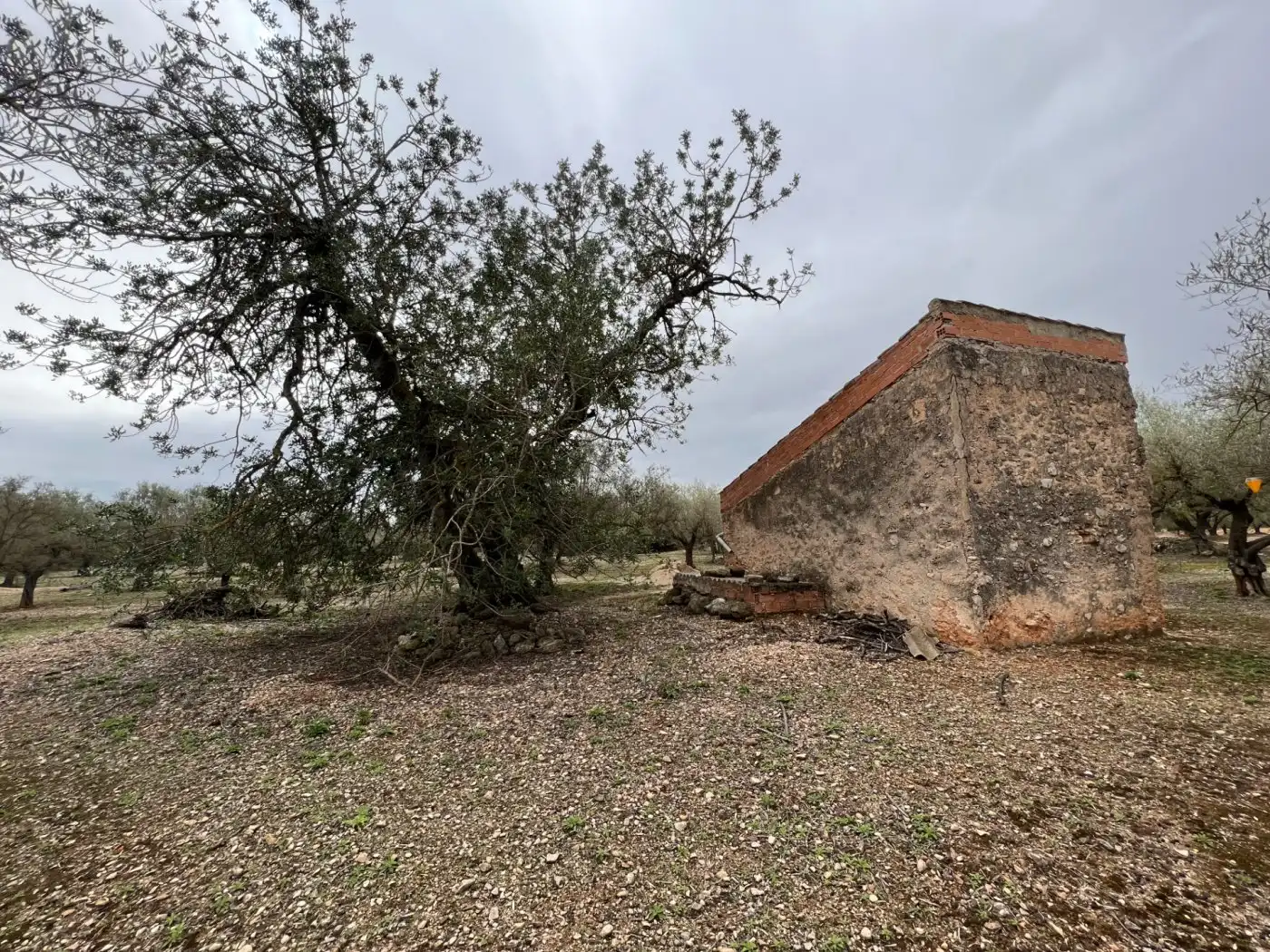 Finca rústica en venta en Roquetes
